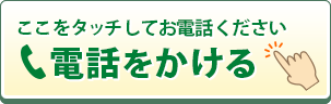 ふじわら接骨院　整体院　電話